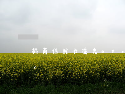 招商信用卡透支etc(招商信用卡透支etc)
