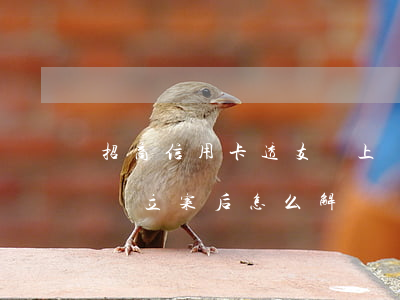 招商信用卡透支會上訴(招商信用卡逾期被起訴立案后怎么解決)