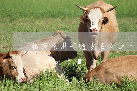 招商信用卡透支百分之十嗎(招商信用卡透支百分之十嗎)