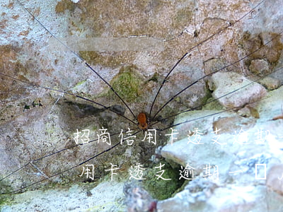 招商信用卡透支逾期一個月會怎樣-招商信用卡透支逾期一個月會怎樣呢