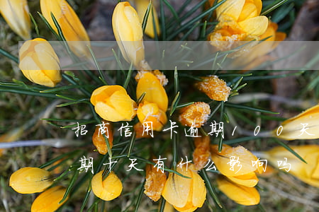 招商信用卡逾期100天(招商银行信用卡逾期十天有什么影响吗)