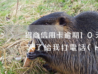 招商信用卡逾期10天(招商信用卡逾期10天了 給我打電話(huà)我沒(méi)接)