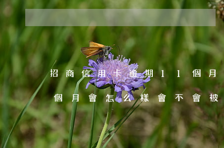 招商信用卡逾期11個月(招商信用卡逾期兩個月會怎么樣?會不會被起訴)