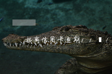 招商信用卡逾期11萬(wàn)未還