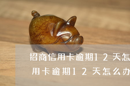 招商信用卡逾期12天怎么办上海-招商信用卡逾期12天怎么办上海银行卡