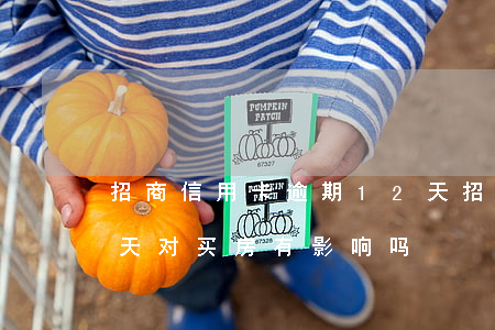 招商信用卡逾期12天(招商信用卡逾期12天对买房有影响吗)