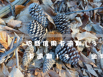 招商信用卡逾期13萬會坐牢嗎-招商信用卡逾期13萬會坐牢嗎知乎