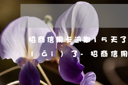 招商信用卡逾期15天了第二期賬單下來(lái)了-招商信用卡逾期15天了第二期賬單下來(lái)了嗎