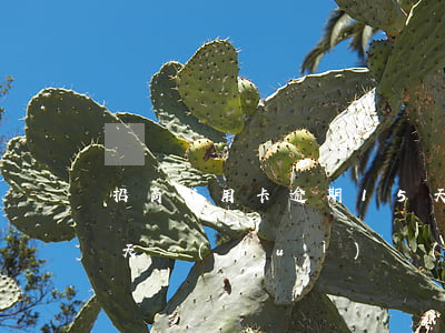 招商信用卡逾期15天(招商信用卡逾期15天會(huì)對(duì)征信有影響嗎)