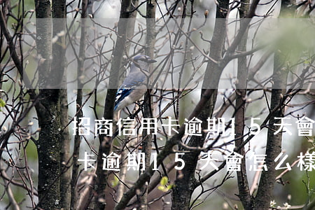 招商信用卡逾期15天會怎么樣-招商信用卡逾期15天會怎么樣還錢還會有額度嗎