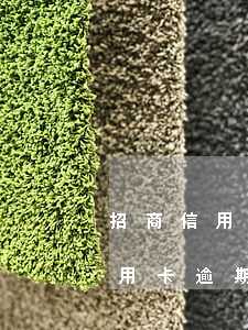 招商信用卡逾期15天有什么影響-招商信用卡逾期15天有什么影響嗎