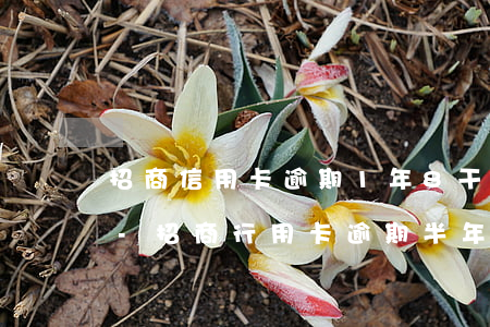 招商信用卡逾期1年8干多說安排人員上門-招商行用卡逾期半年他說要過來抓人