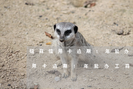 招商信用卡逾期1年能办工商卡么-招商信用卡逾期1年能办工商卡么