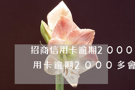 招商信用卡逾期2000多會怎樣-招商信用卡逾期2000多會怎樣呢