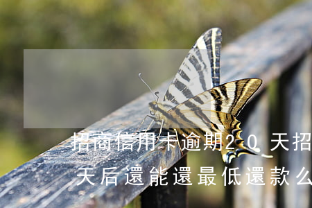 招商信用卡逾期20天(招商信用卡逾期20天后還能還最低還款么)