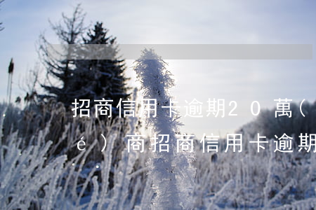 招商信用卡逾期20萬(wàn)協(xié)商(招商信用卡 逾期)
