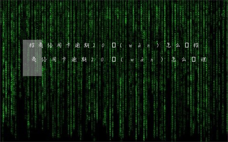 招商信用卡逾期20萬(wàn)怎么辦(招商信用卡逾期20萬(wàn)怎么辦理)
