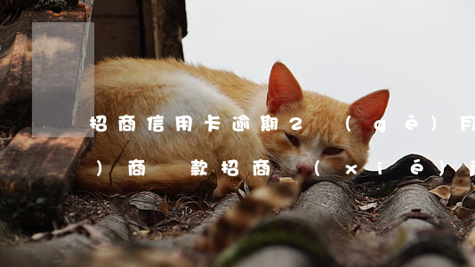 招商信用卡逾期2個(gè)月協(xié)商還款 招商協(xié)商還款后逾期一天