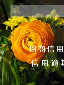 招商信用卡逾期2個月會怎么樣-招商銀行信用逾期了2天會不會有影響?