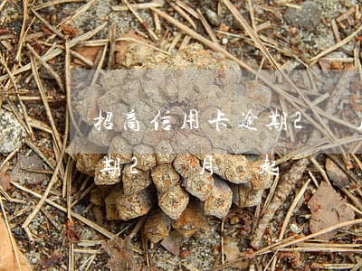 招商信用卡逾期2個月會起訴(招商信用卡逾期2個月會起訴)