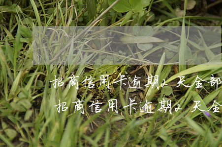 招商信用卡逾期2天全部还进去有影响吗-招商信用卡逾期2天全部还进去有影响吗