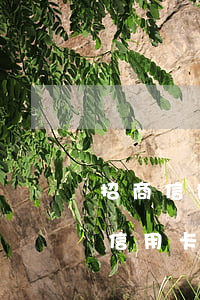 招商信用卡逾期2天有不良記錄嗎 招商銀行信用卡逾期4天