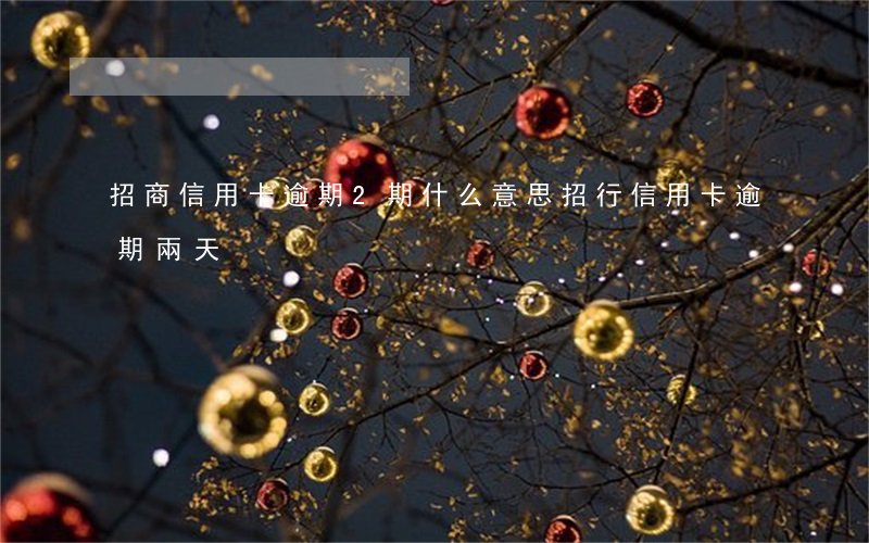 招商信用卡逾期2期什么意思(招行信用卡逾期兩天)