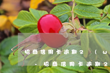 招商信用卡逾期2萬(wàn)多多久被起訴-招商信用卡逾期2萬(wàn)多多久被起訴了