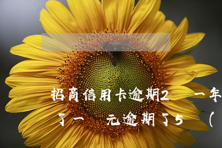 招商信用卡逾期2萬一年(招商銀行信用卡欠了一萬元逾期了5個(gè)月)