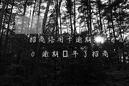 招商信用卡逾期3000元(信用卡25000逾期兩年了招商)