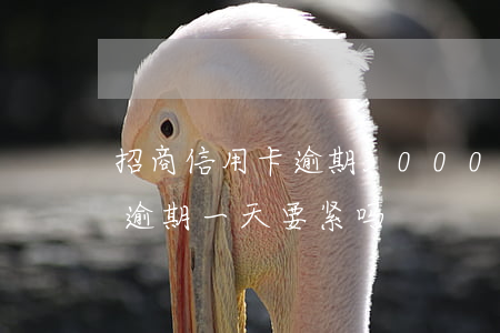 招商信用卡逾期3000半年(招商的信用卡逾期一天要紧吗)