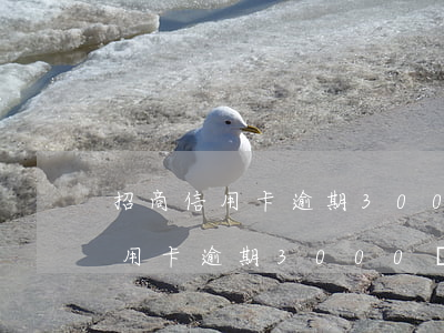 招商信用卡逾期3000會起訴么-招商信用卡逾期3000會起訴么知乎