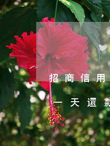 招商信用卡逾期34000(招商信用卡逾期一天還款會不會影響征信)