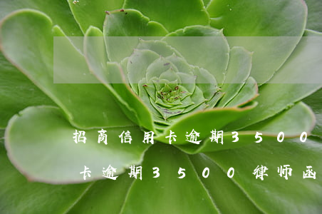 招商信用卡逾期3500律师函-招商信用卡逾期3500律师函怎么写