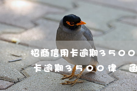 招商信用卡逾期3500律師函-招商信用卡逾期3500律師函怎么寫