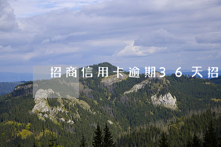 招商信用卡逾期36天(招行信用卡逾期兩天)