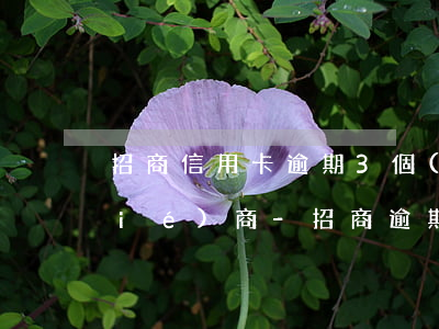 招商信用卡逾期3個(gè)月怎么協(xié)商-招商逾期協(xié)商打哪個(gè)電話