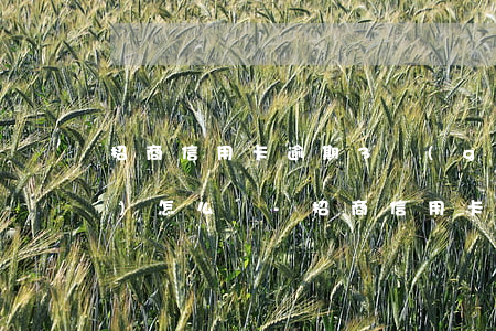 招商信用卡逾期3個(gè)月會(huì)怎么樣-招商信用卡逾期3個(gè)月會(huì)怎么樣嗎