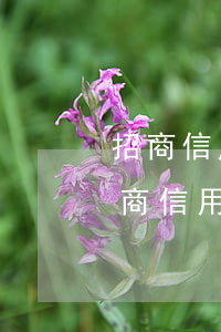 招商信用卡逾期3個(gè)月能解凍-招商信用卡逾期3個(gè)月能解凍