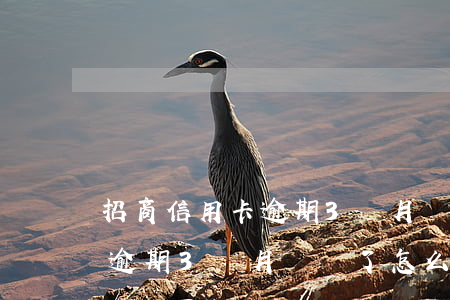 招商信用卡逾期3個月凍結了-招商信用卡逾期3個月凍結了怎么解凍