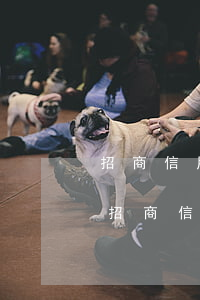 招商信用卡逾期3個月說起訴是不是真的-招商信用卡逾期3個月說起訴是不是真的假的