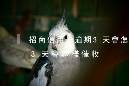 招商信用卡逾期3天會怎樣(招商信用卡逾期3天會怎樣催收)