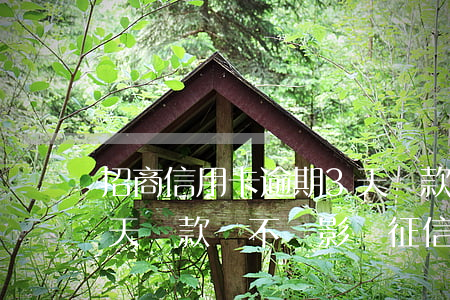 招商信用卡逾期3天還款(招商信用卡逾期3天還款會不會影響征信)