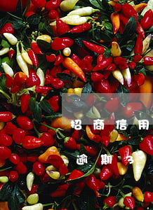 招商信用卡逾期3萬(wàn)(招商信用卡逾期3萬(wàn)多久會(huì)起訴)
