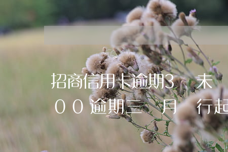 招商信用卡逾期3萬未還-招商信用卡3000逾期三個月銀行起訴我