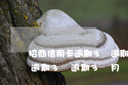 招商信用卡逾期3萬逾期3個月(招商信用卡逾期3萬逾期3個月)