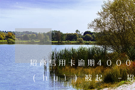 招商信用卡逾期4000會(huì)不會(huì)被起訴-招商信用卡逾期4000會(huì)不會(huì)被起訴呢