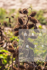 招商信用卡逾期4个月会怎么样(招商银行信用卡3000逾期三个月会怎么样)