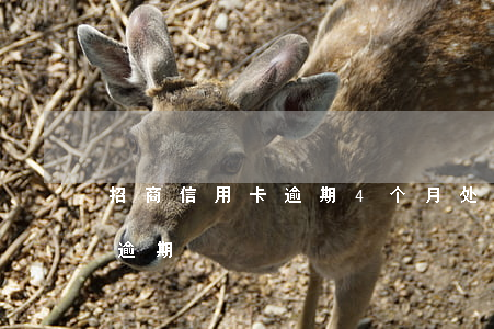 招商信用卡逾期4个月处理方式(招商信用卡 逾期)