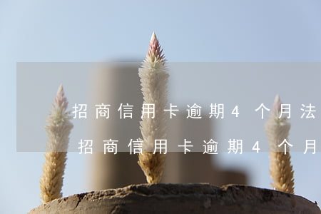 招商信用卡逾期4个月法务部说要起诉我-招商信用卡逾期4个月法务部说要起诉我是真的吗